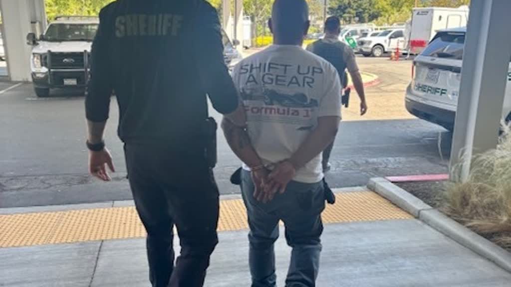 Oakland Man Arrested for Stealing $10,000 Worth of Nintendo Switch Games from Libraries